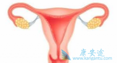 �����������ϱ�������һ��ά�������ѳ���Ч������