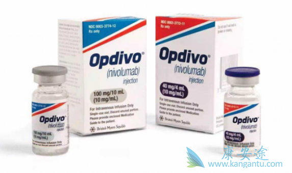 纳武单抗 纳武单抗