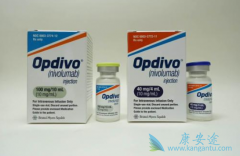 ��ȶ���������Ƚ������䵥�����ƵĻ��߿ɻ�ó���OS����