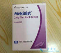 ����������(Mekinist)ǰҪ����������