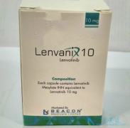 �ַ�����/�ط�����ɸ��õı����ι���