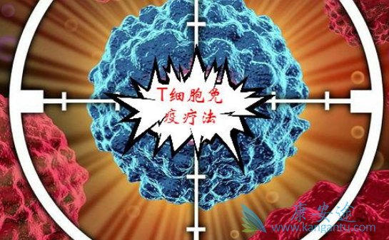 细胞免疫疗法 细胞免疫疗法