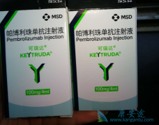 �����(Keytruda)���ƹ�����Ч����ô����