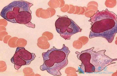 ���ǶȰ���ҩ��ĳ����ö෢�Թ�����������ת��Ϊ��������