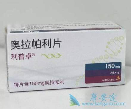 PARP抑制剂 PARP抑制剂