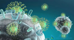 ����ϸ�������Ʒ�����֢���ߴ����˺ܴ������