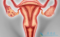 �ѳ�������ǰΪʲôҪ���л����⣿