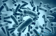 ����ϸ�������ǲ���ֻ�����ư�֢��