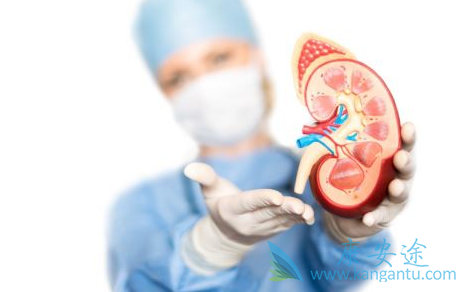 肾癌的治疗;肾癌转移 肾癌的治疗;肾癌转移