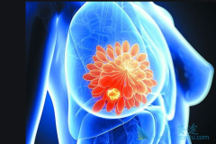 ���ٰ�ԭ������Щ�����ٰ������ܻ��ã�