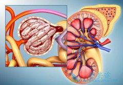 ��������ת�ƻ�����Щ��֢����ת�ƣ�����ҩ��չ��Σ�