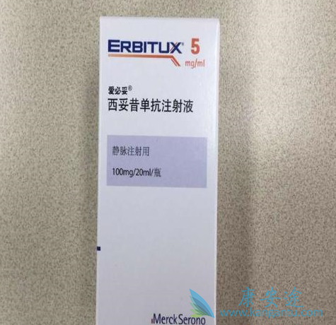 西妥昔单抗 西妥昔单抗