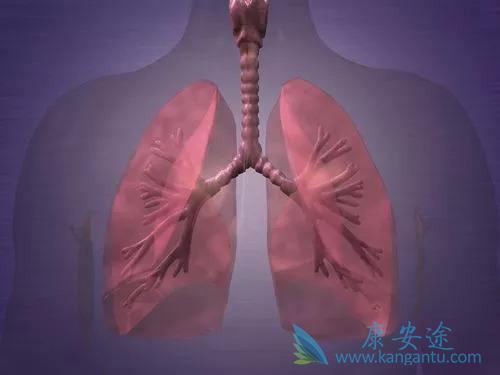 肺癌肝转移 肺癌肝转移