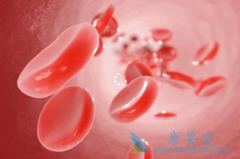 �ΰ���ת�����������ư�֢��ʲô������