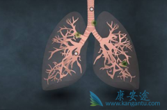 ��ϣ����9291����ʧ�ܺ������ԭ��