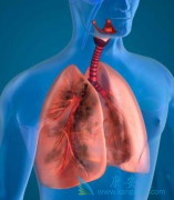 �ΰ���ת�Ƴɰ�ϸ��������