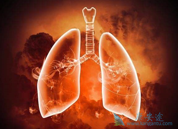 肺癌egfr靶点 肺癌egfr靶点