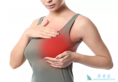 ��ôѡ�����ٰ����Ʒ��������ٰ������ʸ���