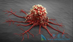 �����ļ��ְ�֢��֢״����Щ�����ٰ�������