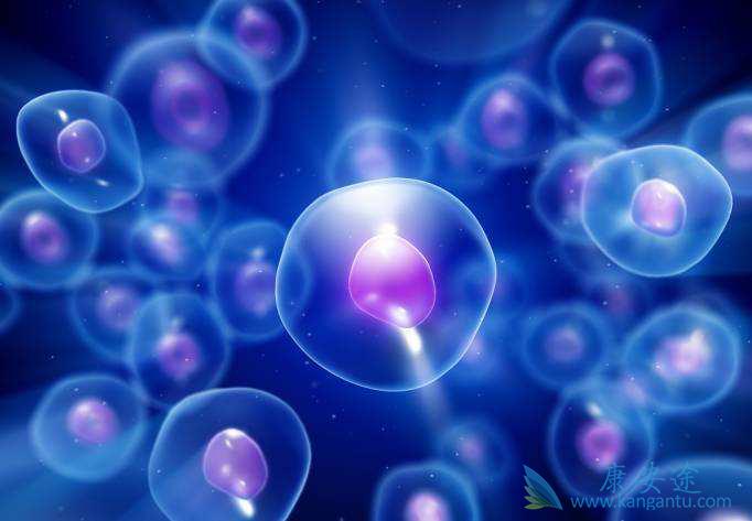 细胞因子风暴 细胞因子风暴