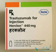 �����������鵥��(Herceptin)����ҩ������