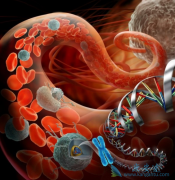 Ϊʲô��֢ת�ƺ�Ƶ������֢���˳�ʲô�ã�