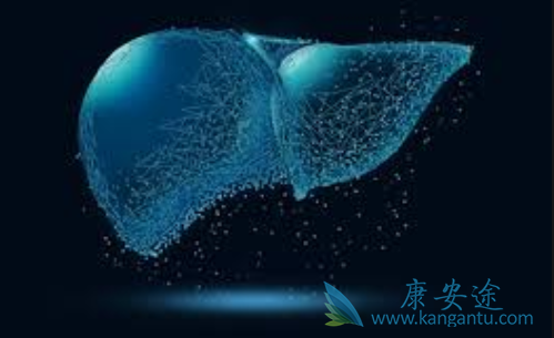 乙肝病毒;乙肝特效药 乙肝病毒;乙肝特效药