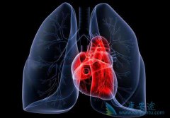 �ΰ�EGFR�İ���ҩ������Щ���ΰ�EGFR��ʲô��