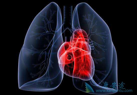 肺癌EGFR 肺癌EGFR