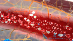 �෢�Թ�������֢״������