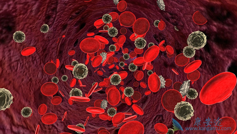 达沙替尼;甲磺酸伊马替尼 达沙替尼;甲磺酸伊马替尼