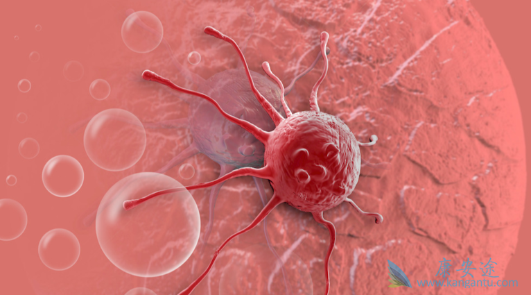 抗肿瘤药物;原研药 抗肿瘤药物;原研药