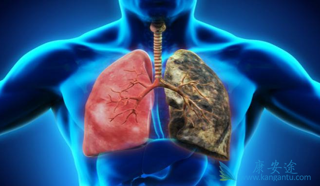 肺癌的治疗;靶向治疗 肺癌的治疗;靶向治疗