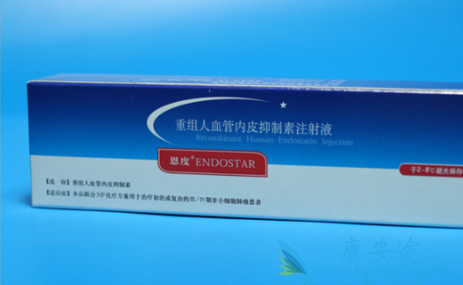 恩度说明书 恩度说明书