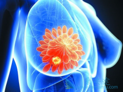 ���ٰ���ԭ������ٰ�����