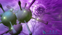 ��ϸ��ת����ô�죿�ΰ���ת����ô�죿