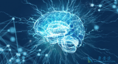 ��Сϸ���ΰ����߲�����30%���ҷ����ΰ���ת��