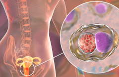 �����������ƽ��У������������ܻ��ã�