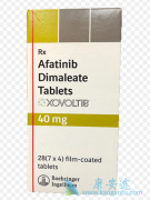 ��ϣ�������������ͻ���EGFR+��Сϸ���ΰ������г�