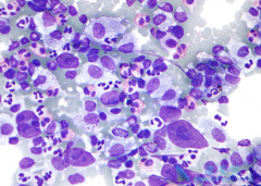 ������ܰ�����ô�Σ�����������������