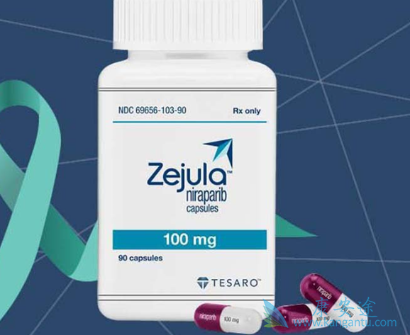 尼拉帕尼 尼拉帕尼