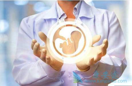试管婴儿 试管婴儿