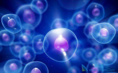 ϸ�����ӷ籩��ʲô��˼?ϸ�����ӻᵼ��ʲô�ܵ����ˣ�