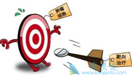 乐伐替尼;靶向治疗 乐伐替尼;靶向治疗