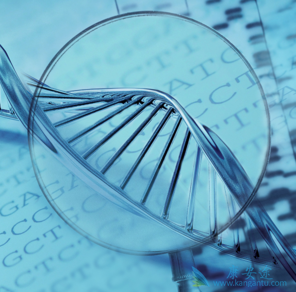 癌症;癌症药物 癌症;癌症药物