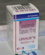 �����Ȱ������ð������������������ӧѵȺ�Ѫ������