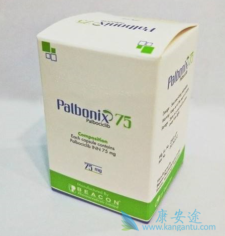 哌柏西利 哌柏西利