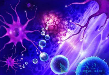 多发性骨髓瘤;硼替佐米 多发性骨髓瘤;硼替佐米