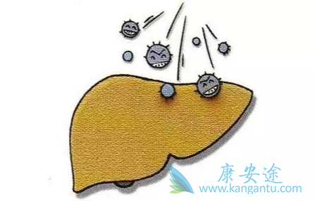 丙肝病毒;如何治丙肝 丙肝病毒;如何治丙肝