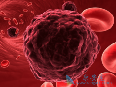 ������ܰ�����һ�ֶ��������𣿿��Ա�������